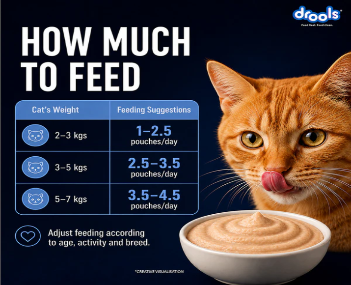 Drools Ocean Fish Mousse Adult Cat Wet Food, 80 GM at ithinkpets.com 9