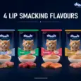 Drools Ocean Fish Mousse Kitten Cat Wet Food, 80 GM at ithinkpets.com 10