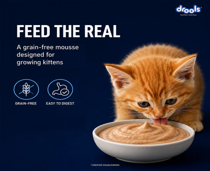 Drools Ocean Fish Mousse Kitten Cat Wet Food, 80 GM at ithinkpets.com 4