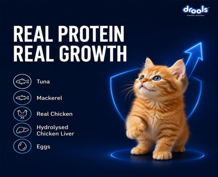 Drools Ocean Fish Mousse Kitten Cat Wet Food, 80 GM at ithinkpets.com 8