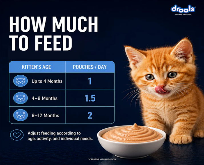 Drools Ocean Fish Mousse Kitten Cat Wet Food, 80 GM at ithinkpets.com 9