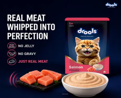 Drools Salmon Mousse Adult Cat Wet Food, 80 GM at ithinkpets.com 2
