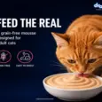 Drools Salmon Mousse Adult Cat Wet Food, 80 GM at ithinkpets.com 3