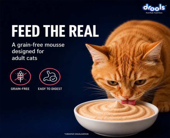 Drools Salmon Mousse Adult Cat Wet Food, 80 GM at ithinkpets.com 3