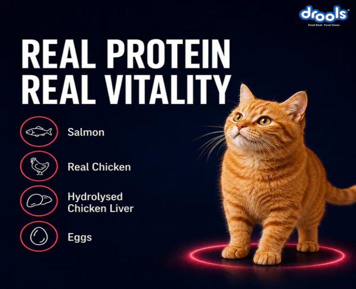Drools Salmon Mousse Adult Cat Wet Food, 80 GM at ithinkpets.com 7