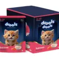 Drools Salmon Mousse Kitten Cat Wet Food, 80 GM at ithinkpets.com 1