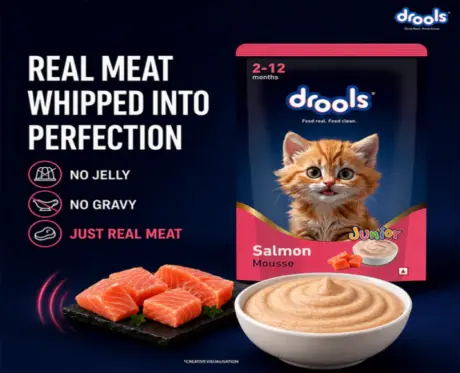 Drools Salmon Mousse Kitten Cat Wet Food, 80 GM at ithinkpets.com 2
