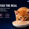 Drools Salmon Mousse Kitten Cat Wet Food, 80 GM at ithinkpets.com 3