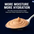 Drools Salmon Mousse Kitten Cat Wet Food, 80 GM at ithinkpets.com 6