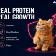 Drools Salmon Mousse Kitten Cat Wet Food, 80 GM at ithinkpets.com 7