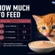Drools Salmon Mousse Kitten Cat Wet Food, 80 GM at ithinkpets.com 8