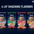 Drools Salmon Mousse Kitten Cat Wet Food, 80 GM at ithinkpets.com 9