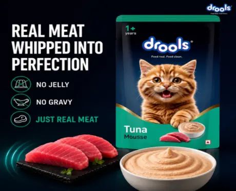 Drools Tuna Mousse Adult Cat Wet Food, 80 GM at ithinkpets.com 2