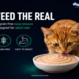 Drools Tuna Mousse Adult Cat Wet Food, 80 GM at ithinkpets.com 3