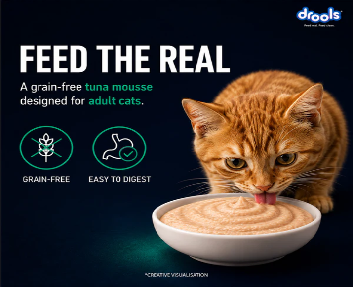 Drools Tuna Mousse Adult Cat Wet Food, 80 GM at ithinkpets.com 3