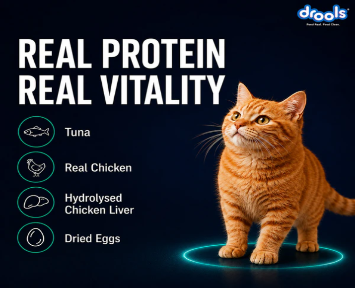 Drools Tuna Mousse Adult Cat Wet Food, 80 GM at ithinkpets.com 7