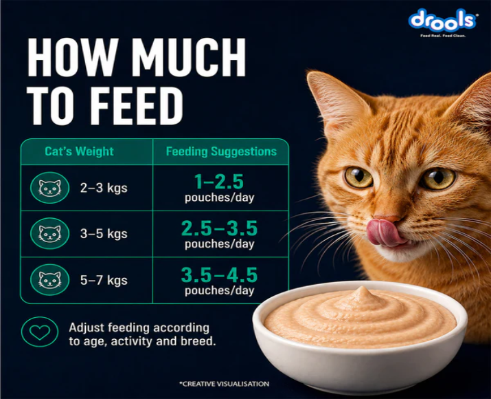 Drools Tuna Mousse Adult Cat Wet Food, 80 GM at ithinkpets.com 8