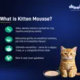 Drools Tuna Mousse Kitten Cat Wet Food, 80 GM at ithinkpets.com 3