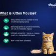 Drools Tuna Mousse Kitten Cat Wet Food, 80 GM at ithinkpets.com 6