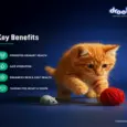 Drools Tuna Mousse Kitten Cat Wet Food, 80 GM at ithinkpets.com 7