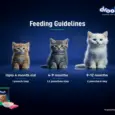 Drools Tuna Mousse Kitten Cat Wet Food, 80 GM at ithinkpets.com 8