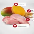 Farmina N&D Tropical Selection Chicken Adult Dog Mini Dry Food at ithinkpets.com 4