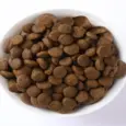 Farmina N&D Tropical Selection Chicken Adult Dog Mini Dry Food at ithinkpets.com 5