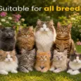 Fur Ball Story Feli Boost Liquid Immunity Supplement for Cats, 100 ML at ithinkpets.com 10