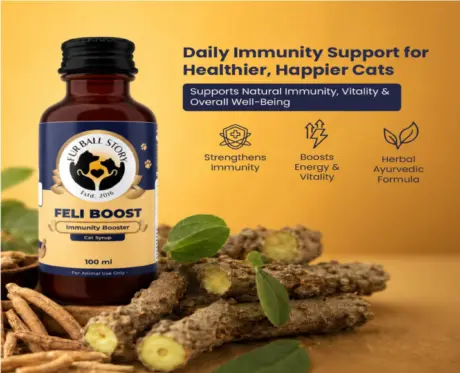 Fur Ball Story Feli Boost Liquid Immunity Supplement for Cats, 100 ML at ithinkpets.com 2