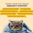 Fur Ball Story Feli Boost Liquid Immunity Supplement for Cats, 100 ML at ithinkpets.com 3