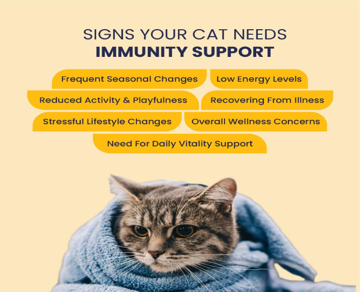 Fur Ball Story Feli Boost Liquid Immunity Supplement for Cats, 100 ML at ithinkpets.com 3