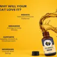 Fur Ball Story Feli Boost Liquid Immunity Supplement for Cats, 100 ML at ithinkpets.com 4