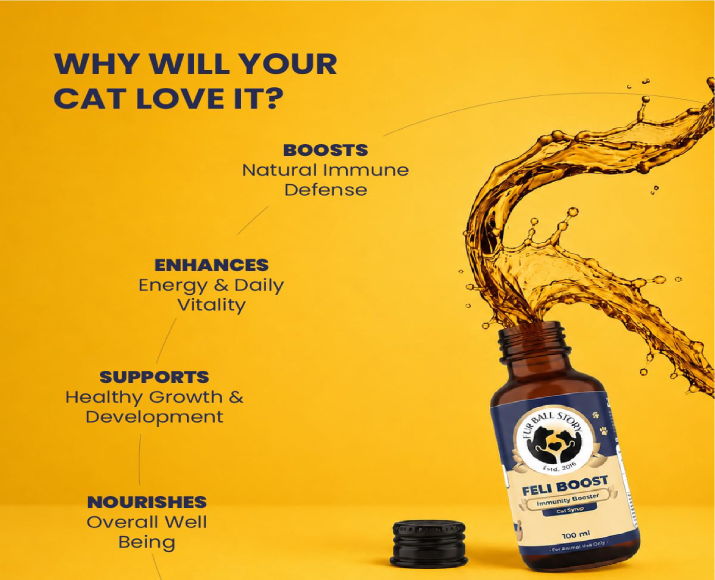 Fur Ball Story Feli Boost Liquid Immunity Supplement for Cats, 100 ML at ithinkpets.com 4