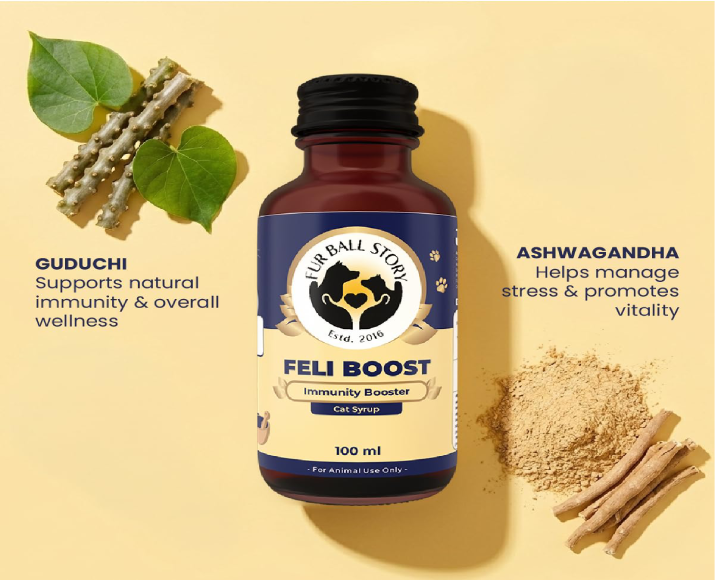 Fur Ball Story Feli Boost Liquid Immunity Supplement for Cats, 100 ML at ithinkpets.com 5