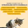 Fur Ball Story Feli Clear Liquid Supplement for Cats, 50 ML at ithinkpets.com 3