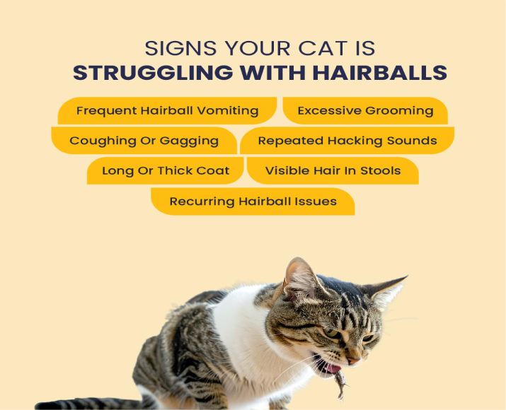 Fur Ball Story Feli Clear Liquid Supplement for Cats, 50 ML at ithinkpets.com 3