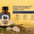 Fur Ball Story Feli Flow Urinary Wellness Liquid Supplement for Cats, 50 ML at ithinkpets.com 2
