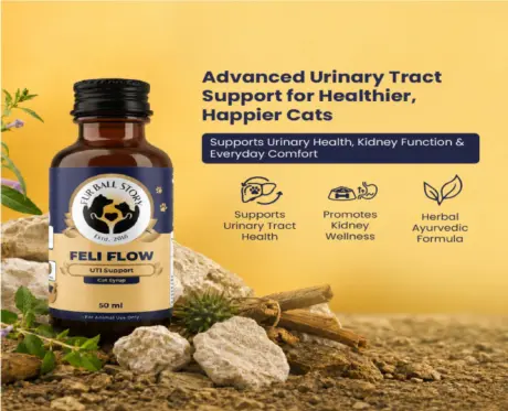 Fur Ball Story Feli Flow Urinary Wellness Liquid Supplement for Cats, 50 ML at ithinkpets.com 2