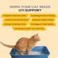 Fur Ball Story Feli Flow Urinary Wellness Liquid Supplement for Cats, 50 ML at ithinkpets.com 3