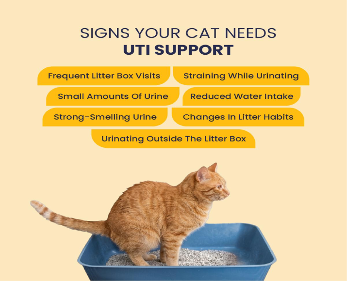 Fur Ball Story Feli Flow Urinary Wellness Liquid Supplement for Cats, 50 ML at ithinkpets.com 3