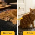 Fur Ball Story Feli Flow Urinary Wellness Liquid Supplement for Cats, 50 ML at ithinkpets.com 8