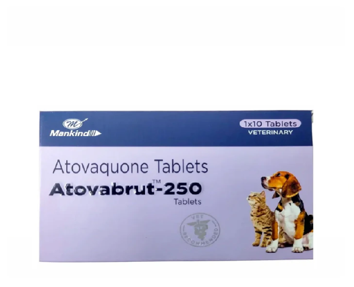 Mankind Atovabrut 250 MG (Atovaquone) Tablets for Dogs and Cats, 10 Tablets at ithinkpets.com 1 (1)