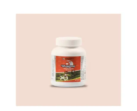Opus Pet Woofgang Tablets, Calcium for Dogs, 60 Tablets at ithinkpets.com 2 (1)