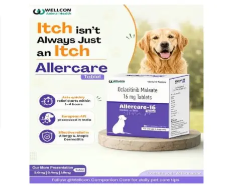 Wellcon Allercare 16 MG Tablet (Oclacitinib) for Dogs, 10 Tablets at ithinkpets.com 1 (1)