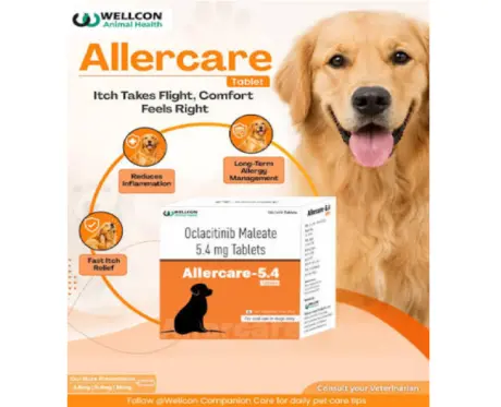 Wellcon Allercare 5.4 MG Tablet (Oclacitinib) for Dogs, 10 Tablets at ithinkpets.com 1 (2)