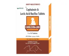 Wellcon Canilexin L 600 MG Tablet (Cephalexin) for Dogs and Cats, 10 Tablets