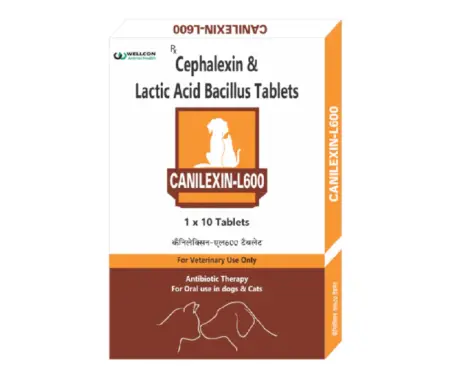 Wellcon Canilexin L 600 MG Tablet (Cephalexin) for Dogs and Cats, 10 Tablets at ithinkpets.com 1 (1)