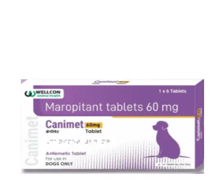 Wellcon Canimet 60 MG Tablet (Maropitant) for Dogs, 6 Tablets at ithinkpets.com 1 (2)