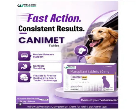 Wellcon Canimet 60 MG Tablet (Maropitant) for Dogs, 6 Tablets at ithinkpets.com 2 (1)