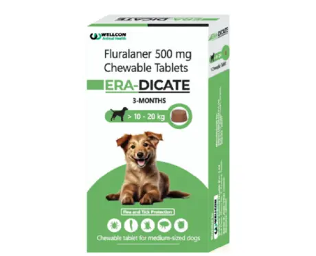 Wellcon Eradicate Fluralaner 500 MG Tablet for Dogs, 10 to 20KG at ithinkpets.com 1 (1)